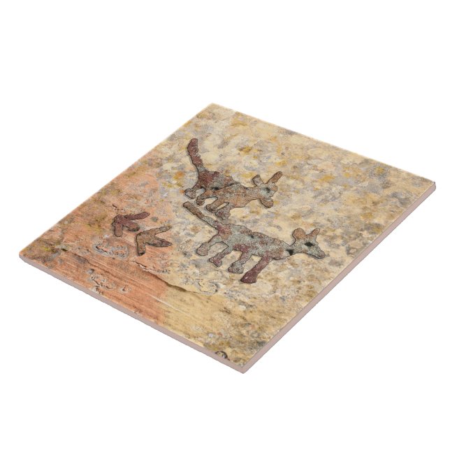 Azulejo Coyotes Petroglifos en Arizona (Lado)