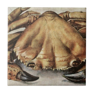 Azulejo Crab (Creature Under the Sea) (by Albrecht Durer)