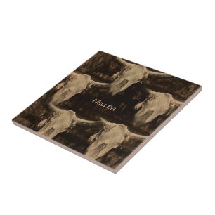 Azulejo Cráneo de toros Rústico Occidental Arte Sepia Br