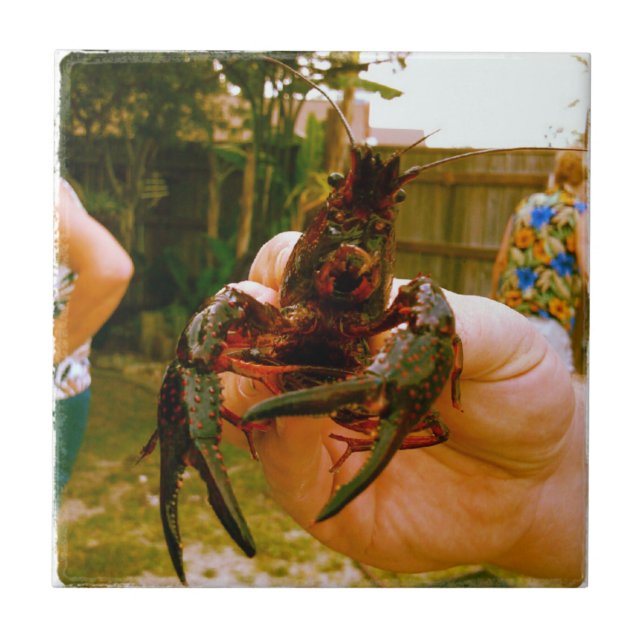Azulejo Crawfish vivo grande (Frente)