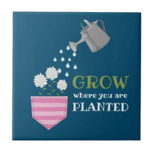 Crecer donde te plantan inspirador de bolsillo