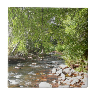 Azulejo Creek de roble II en la fotografía natural de Sedo