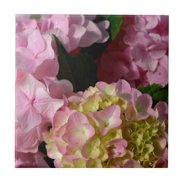 Azulejo Crema rosa Hydrangeas amarillo rosa verde floral (Frente)