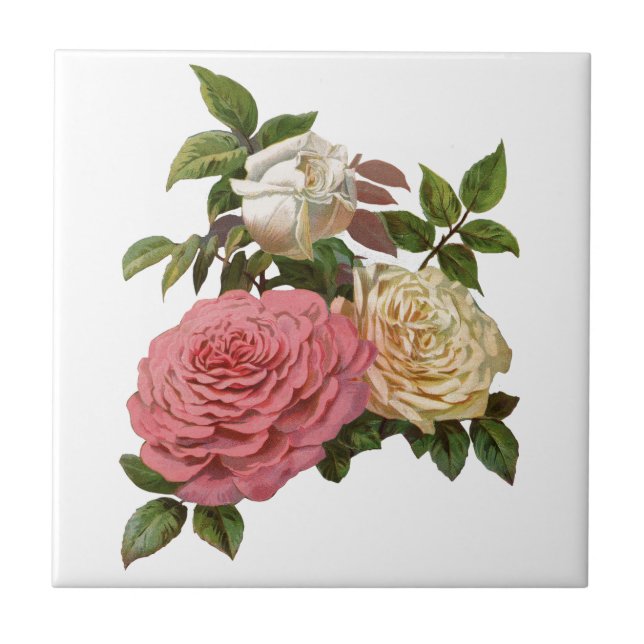 Azulejo Crema victoriana y rosas rosadas (Frente)