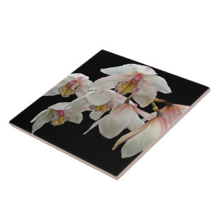 Azulejo Crema y orquídeas rosas en negro