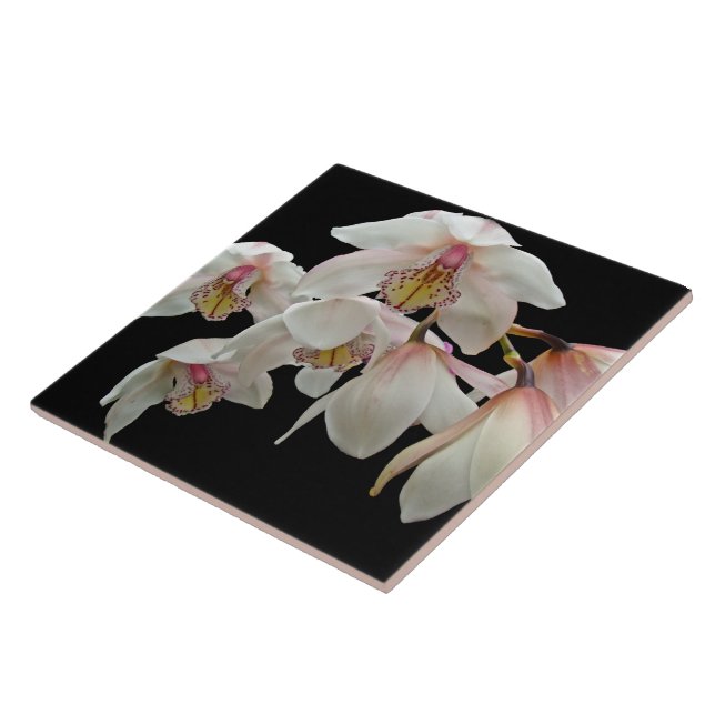 Azulejo Crema y orquídeas rosas en negro (Lado)