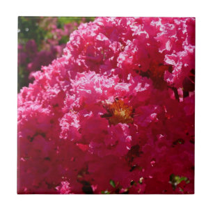 Azulejo Crepe Myrtle Tree Magenta Floral