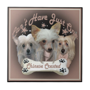 Azulejo Crested chino no puede tener un solo mosaico