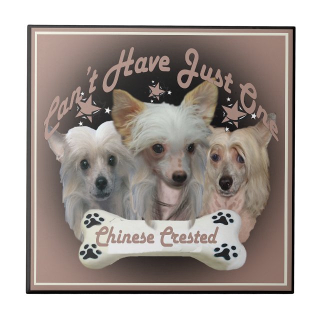 Azulejo Crested chino no puede tener un solo mosaico (Frente)