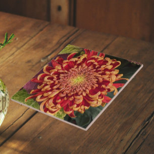 Azulejo Crisantemo Floral Rojo y Amarillo