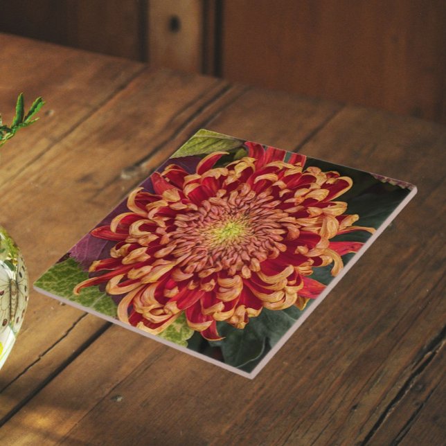 Azulejo Crisantemo Floral Rojo y Amarillo (In Situ)