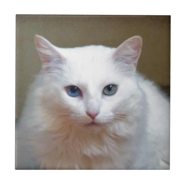 Azulejo Cristal (Frente)