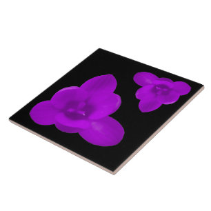 Azulejo Crocus Flower Purple Tile
