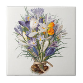 Azulejo Crocus Spring Flower Botanical Floral Art