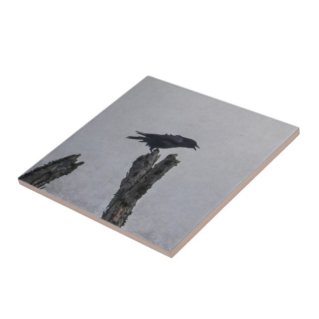 Azulejo Crow (Lado)