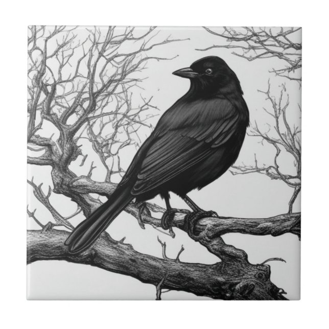 Azulejo Crow Perched on Bare Winter Branches (Frente)