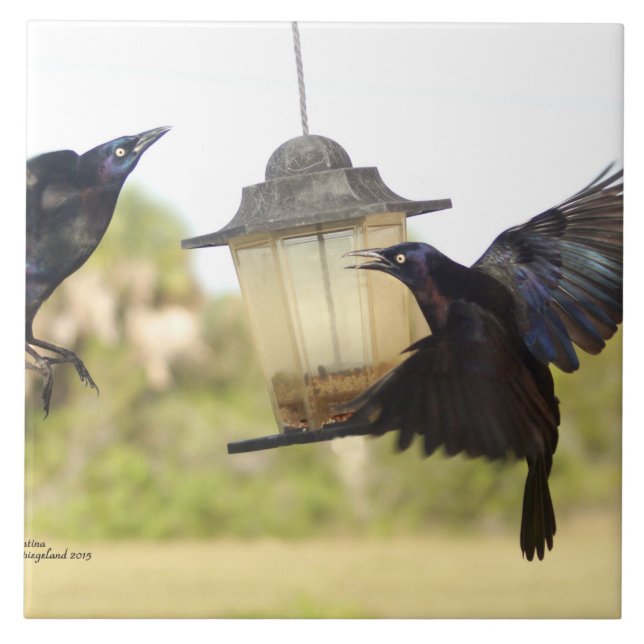 Azulejo Crows Ravens Blackbirds Tile (Frente)