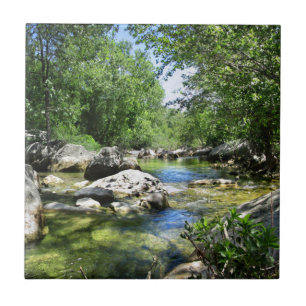 Azulejo Cruce del arroyo de Barton - Austin Texas