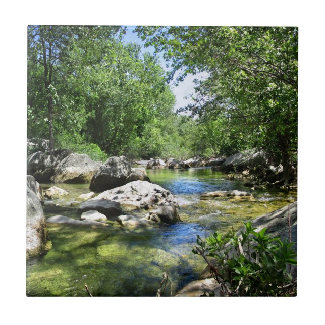 Azulejo Cruce del arroyo de Barton - Austin Texas (Frente)