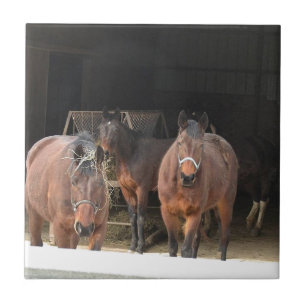 Azulejo Cuatro caballos