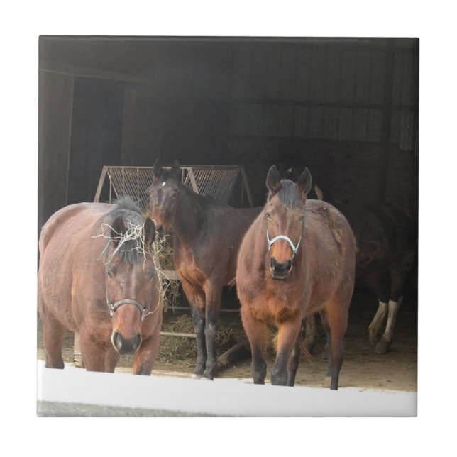 Azulejo Cuatro caballos (Frente)