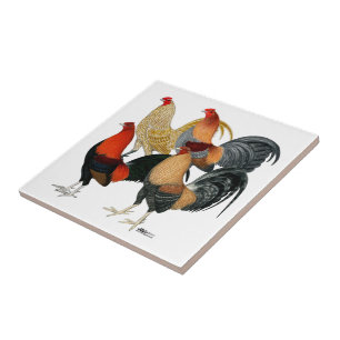 Azulejo Cuatro gallos de pelea