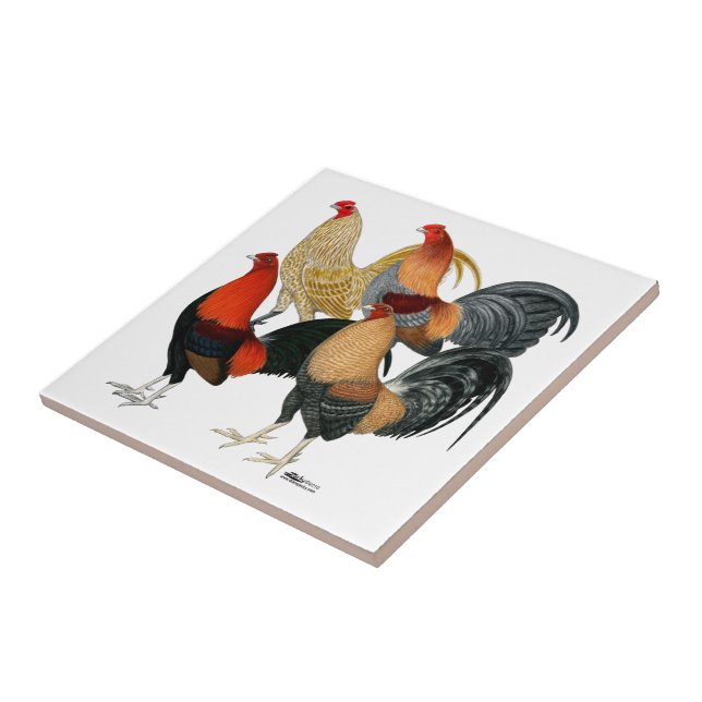Azulejo Cuatro gallos de pelea (Lado)
