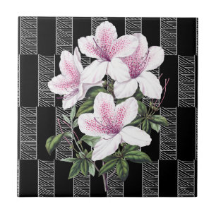 Azulejo  Cubierta cerámica blanca y negra