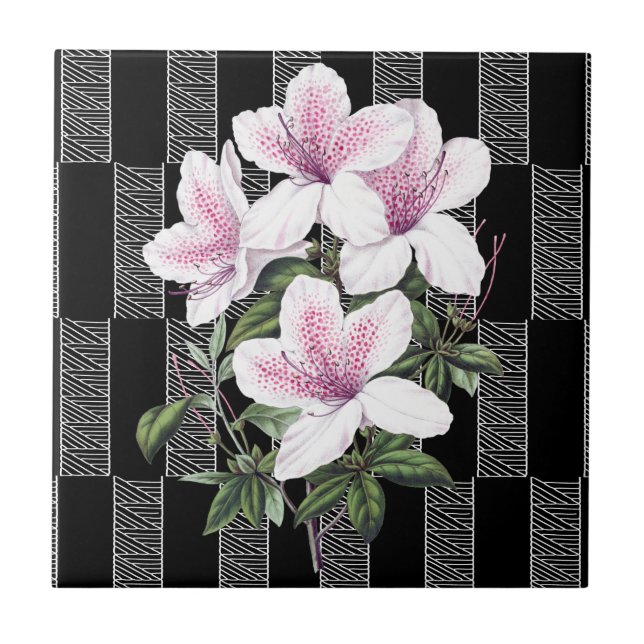 Azulejo  Cubierta cerámica blanca y negra (Frente)