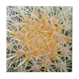 Azulejo Cubierta cerámica Cactus