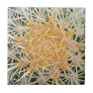 Azulejo Cubierta cerámica Cactus