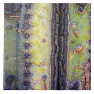 Azulejo Cubierta cerámica Cactus Macro