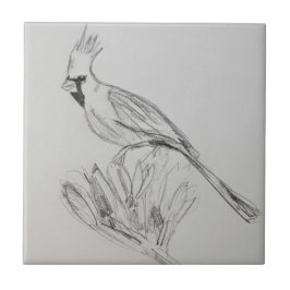 Azulejo Cubierta cerámica cardinal, pequeña (10,8 cm x 10,