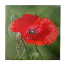 Cubierta cerámica de amapola