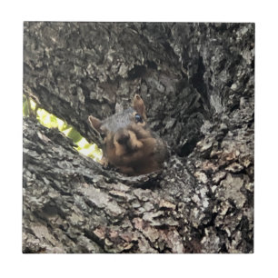 Azulejo Cubierta cerámica de ardilla