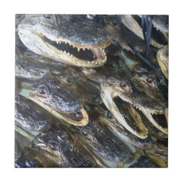 Azulejo Cubierta cerámica de cabeza de gálibo