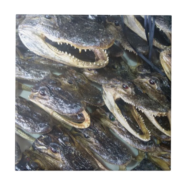 Azulejo Cubierta cerámica de cabeza de gálibo (Frente)