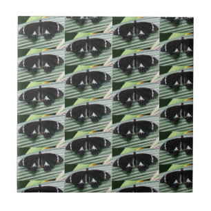 Azulejo Cubierta cerámica de mariposa blanca y negra