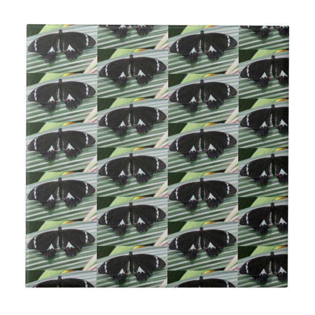 Azulejo Cubierta cerámica de mariposa blanca y negra (Frente)