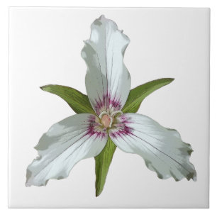 Azulejo Cubierta cerámica de trillium Spring