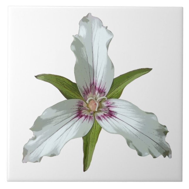 Azulejo Cubierta cerámica de trillium Spring (Frente)