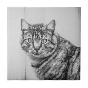 Azulejo Cubierta cerámica para animales negros y blancos