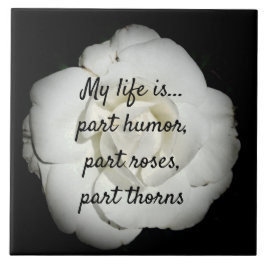 Azulejo Cubierta cerámica rosa blanca