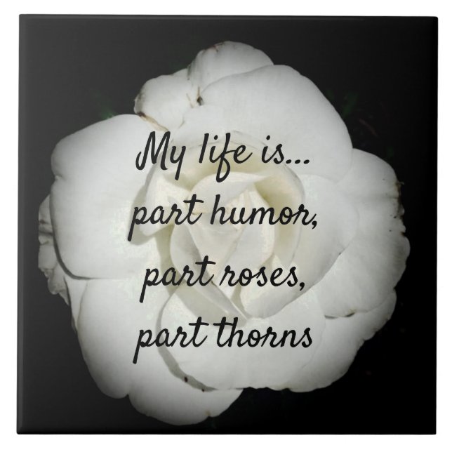 Azulejo Cubierta cerámica rosa blanca (Frente)