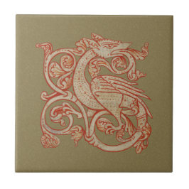 Azulejo Cubierta de cerámica de dragón de manuscrito medie