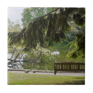 Azulejo Cubierta de cerámica de estanque ornamental