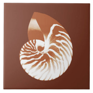 Azulejo Cubierta de nautilus - marrón y blanco de cacao