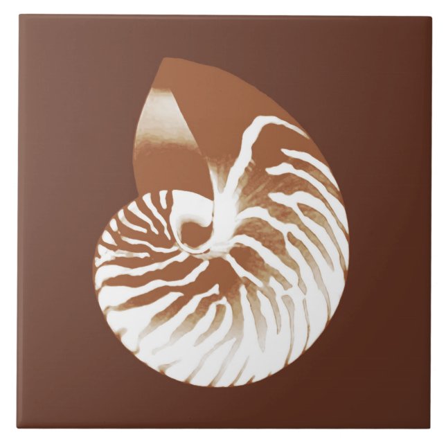 Azulejo Cubierta de nautilus - marrón y blanco de cacao (Frente)