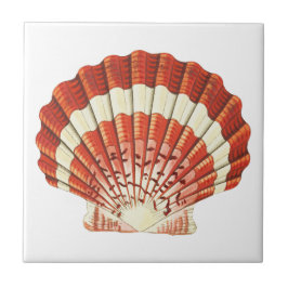 Azulejo Cubierta de vieira rojo y amarillo pálido acrílico