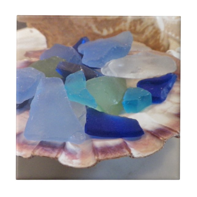 Azulejo Cubierta De Vieiras Con Vidrio De Mar (Frente)